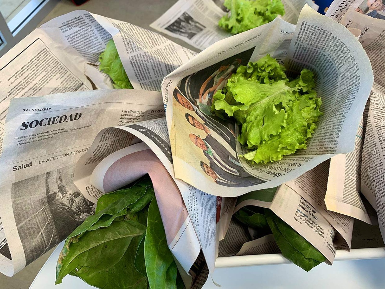 Lechugas de la huerta envueltas en papel de diario