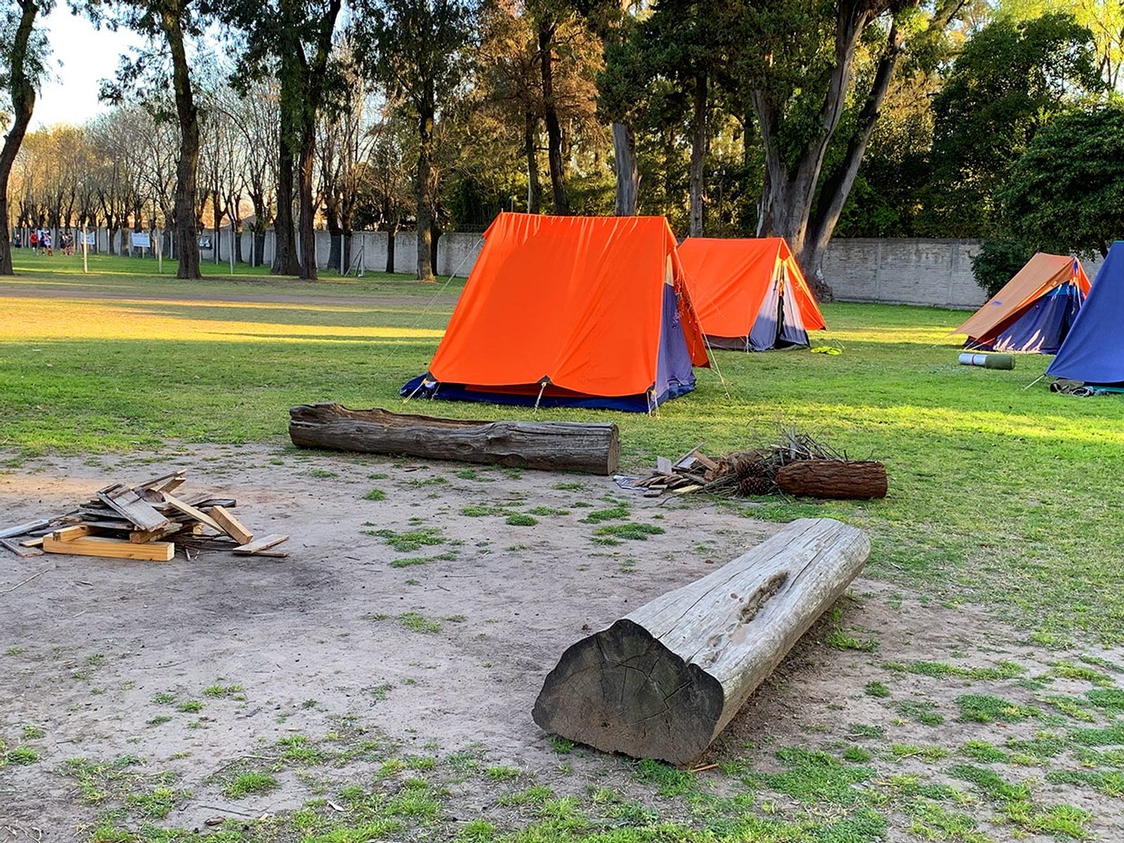 Fogón y carpas del campamento entre los eucaliptos